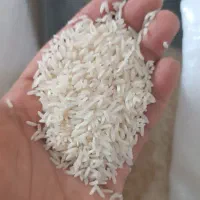 برنج هاشمی خوش طعم|خوردنی و آشامیدنی|رشت, دیلمان|دیوار