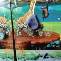 دیواره صخره نوردی کودک|کوهنوردی و کمپینگ|محمدشهر, محمدشهر|دیوار