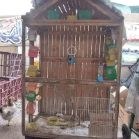 فنج