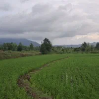 «ویلا دنج و خوش‌آب‌وهوا، ۱۰ دقیقه‌ای لاهیجان»|فروش خانه و ویلا|لاهیجان, آهندان|دیوار