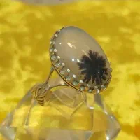 انگشتر شجر قائن