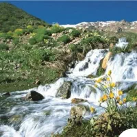 خونه در پایتخت طبیعت ایران|فروش خانه و ویلا|سیسخت, |دیوار