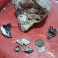 سنگ|جواهرات|اصفهان, شاه پسند|دیوار