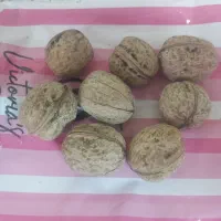 گردوی امسال