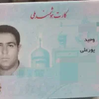 با سلام کارت ملی وچند عدد کارت بانکی گم شده