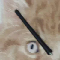 آنتن برقی ماشین دو تیکه|قطعات یدکی و لوازم جانبی|کرمانشاه, |دیوار