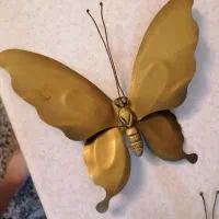 پروانه برنز