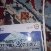 مدارک بنام محسن  گرامی پیدا شده|اشیا|شوشتر, |دیوار