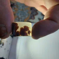 سنگ انگشترشجر