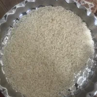 برنج هاشمی محلی