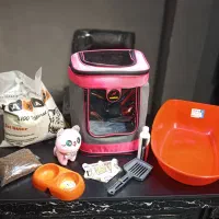 بچه گربه برتیش لانگهیر خرسی|گربه|تهران, تهرانسر مرکزی|دیوار