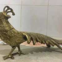 دوعدد طاووس برنجی