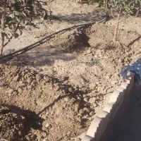 خدمات فضای سبز وباغبانی