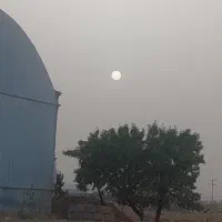 نیروی خانوم جهت  کار در حساب کتاب گلخونه