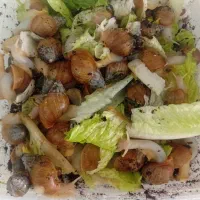 حلزون|خزنده|چناران, |دیوار