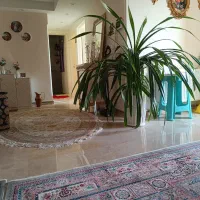 پاندانوس|گل و گیاه طبیعی|تهران, خانی‌آباد|دیوار