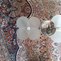 لوستر۲شاخه|لوستر و چراغ آویز|اراک, |دیوار