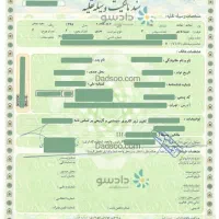 برگ سبز گمشده