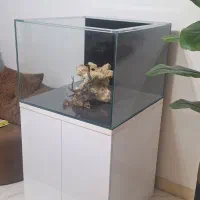 اکواریوم ریمیلس کریستال