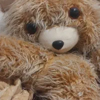 خرس یکونیم متری