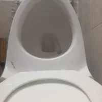 توالت فرنگی