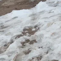 کفتر|پرنده|گرمخان, |دیوار