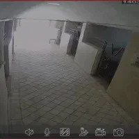 کارگر اتباع برای کار در اسبداری