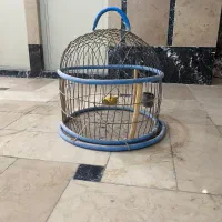 قفس کارکرده