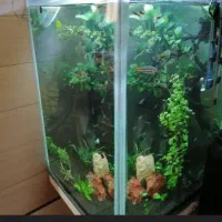 آکواریوم ایستاده60*60*90
