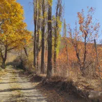 زمین فروشی شهرستانک (سرک،مازون)|فروش زمین و ملک کلنگی|تهران, تهرانسر غربی|دیوار