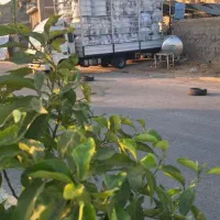 نمایندگی فروش مخزن پارسا پلاست صلاحی