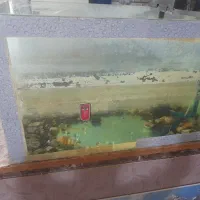 آکواریوم با ماهی