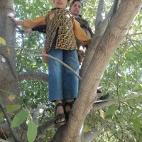 باغ انگورواقع در لنجاابادحدو