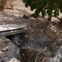 مزرعه|فروش زمین و ملک کلنگی|اردکان, |دیوار