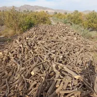 خرید چوب مرکبات با بالاترین قیمت