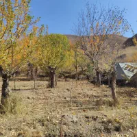 زمین فروشی شهرستانک (سرک،مازون)|فروش زمین و ملک کلنگی|تهران, تهرانسر غربی|دیوار