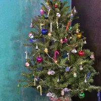 عکاسی یلدایی و کریسمس ۲۰ درصد تخفیف|خدمات پذیرایی، مراسم|بروجرد, |دیوار