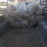 سلام فروش سیب زمینی محلی دشتاب