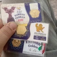 سکه پارسیان