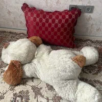 عروسک خارجی|اسباب‌بازی بچه|بندرعباس, |دیوار