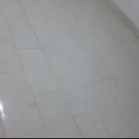 بامدیریت سارانی