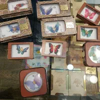 پلاک پروانه