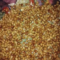 فروش عسل سنجد درجه یکه عسلی