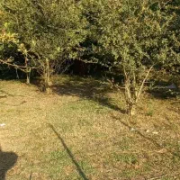دوقطعه زمین ویلایی ویوعالی آستارا عباس آباد۶۵۰۰۰۰۰|فروش زمین و ملک کلنگی|آستارا, |دیوار