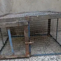 قفس بزرگ