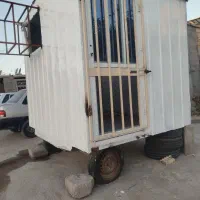 کانکس