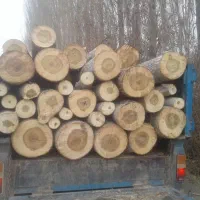 خرید انواع چوب|خدمات باغبانی و درختکاری|نوشین شهر, |دیوار