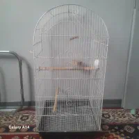 قفس پرنده