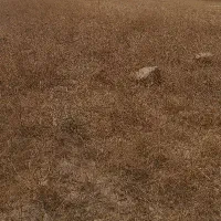 زمین چم آسیاب ۸۰۰متر
