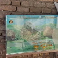 فروش فوری|فعالیت داوطلبانه|ساوه, |دیوار